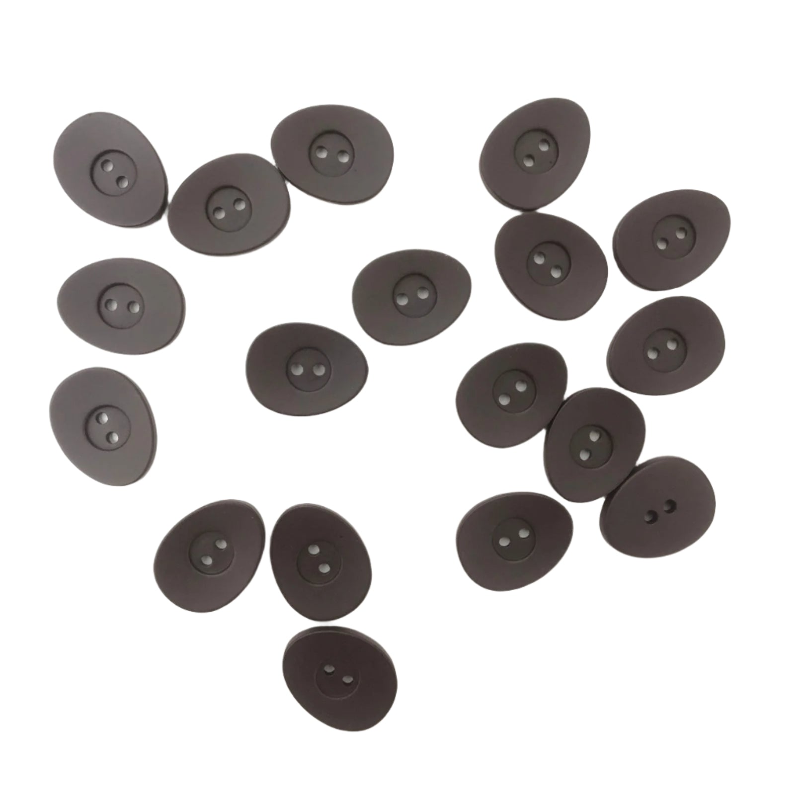 Dark Brown Oval Nutton