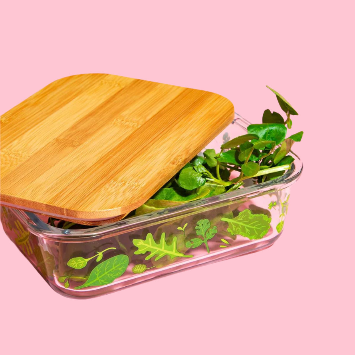 Powered by plants glass storage Large