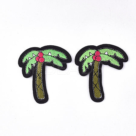 Coconut Tree - 1